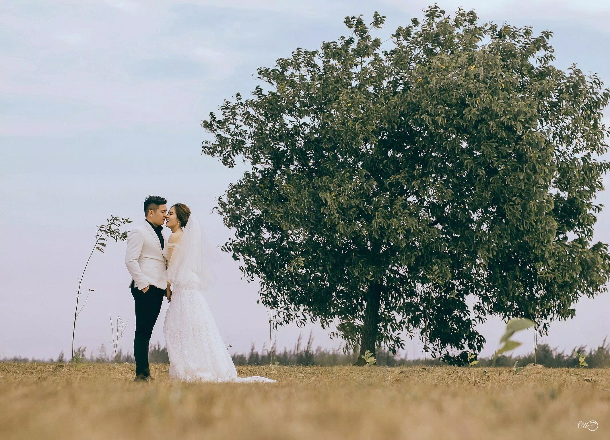 Ảnh cưới của Otic Studio (ảnh: Otic Studio) Ảnh cưới của Otic Studio (ảnh: Otic Studio)