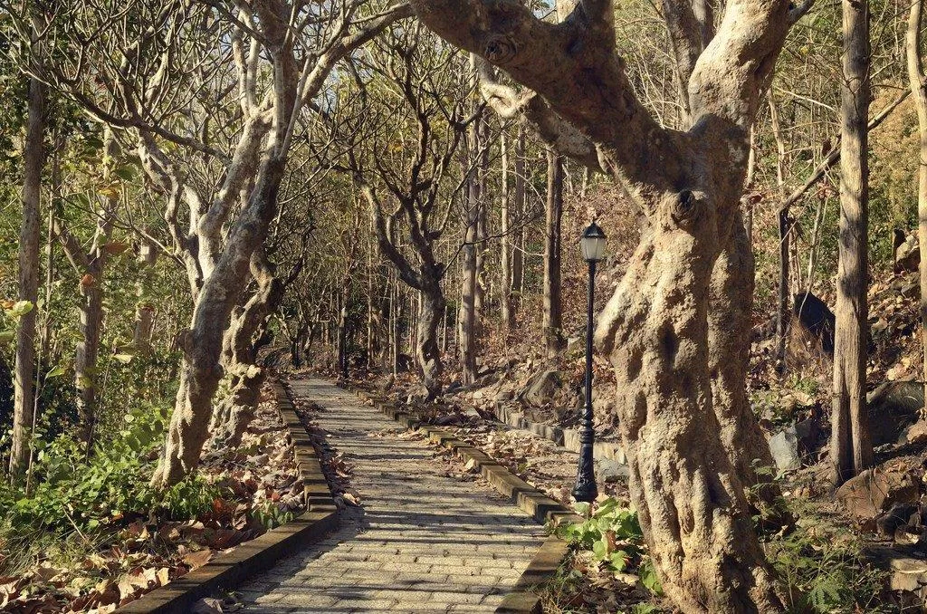 Con đường nhỏ trải nắng vàng ươm đưa du khách đến với Bạch Dinh (Ảnh: Internet). Con đường nhỏ trải nắng vàng ươm đưa du khách đến với Bạch Dinh (Ảnh: Internet).