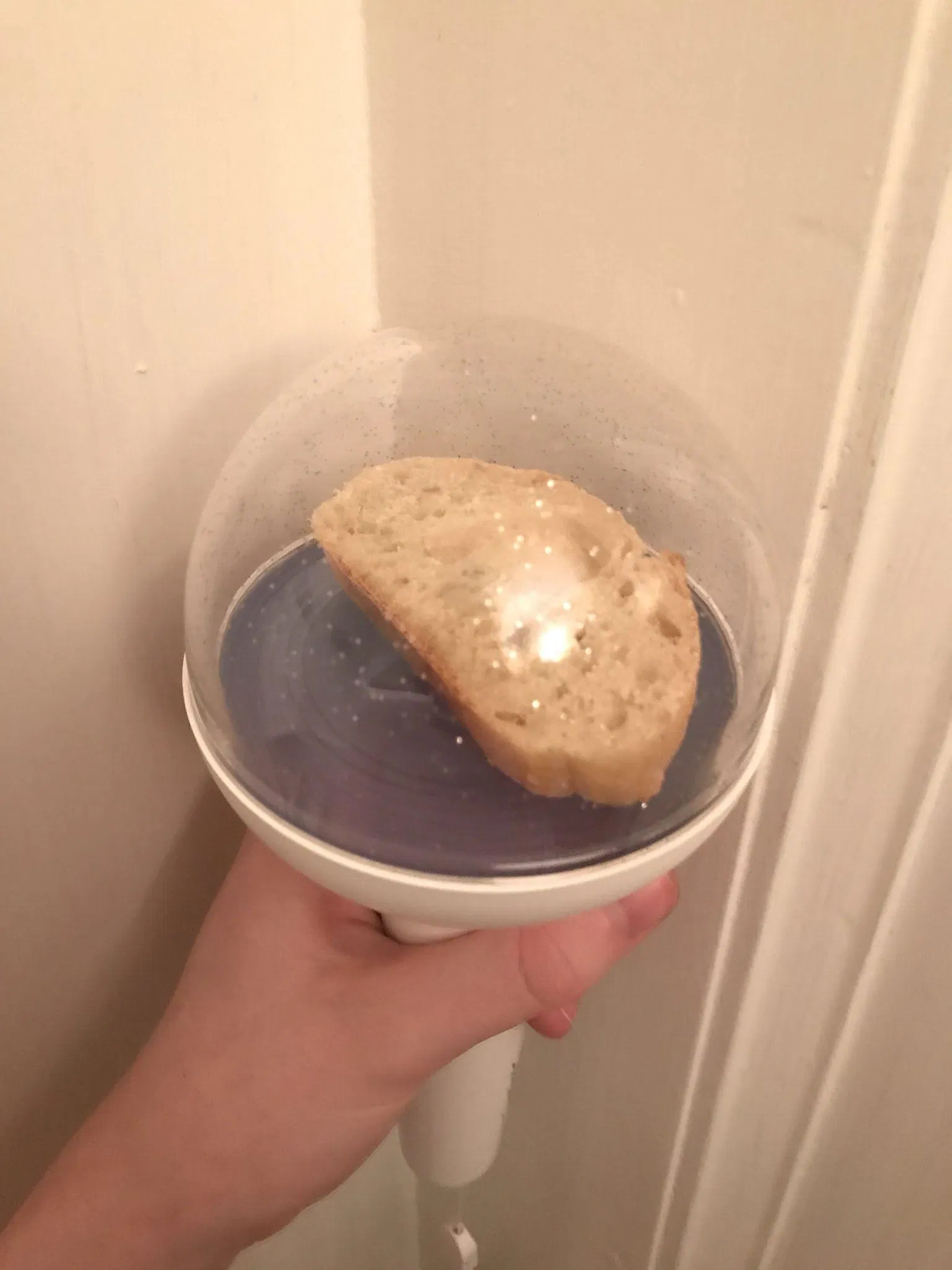 10 thứ kì lạ nhất mà fan của SEVENTEEN từng bỏ vào Caratbong 10 thứ kì lạ nhất mà fan của SEVENTEEN từng bỏ vào Caratbong caratbong caratbong lightstick KPOP nữ hoàng lightstick Seventeen SEVENTEEN lightstick