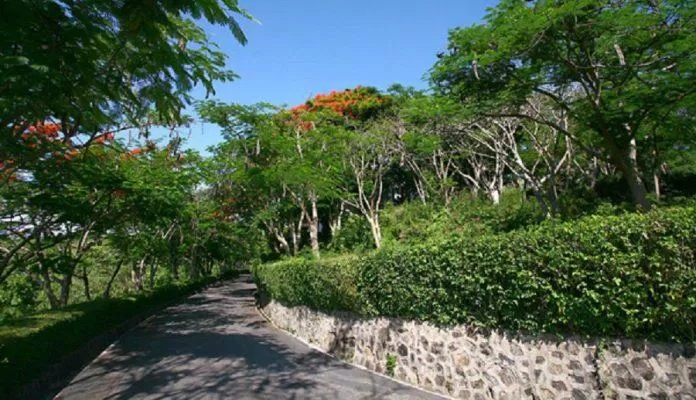 Con đường dẫn lên khu biệt thự xanh mát bóng cây (Ảnh: Internet).