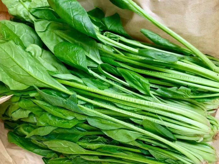 Thường xuyên ăn cải bó xôi sẽ giúp da và tóc khỏe mạnh. (Nguồn: Internet) Thường xuyên ăn cải bó xôi sẽ giúp da và tóc khỏe mạnh. (Nguồn: Internet)
