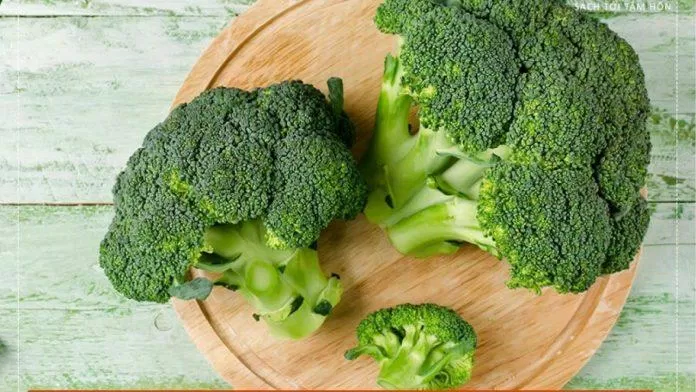 Bông cải xanh cung cấp nhiều vitamin và khoáng chất cần thiết cho cơ thể.  (Nguồn: Internet)