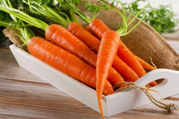 Các chất dinh dưỡng có trong cà rốt rất tốt đối với người bị bệnh mạch vành. (Nguồn: Internet) Các chất dinh dưỡng có trong cà rốt rất tốt đối với người bị bệnh mạch vành. (Nguồn: Internet)