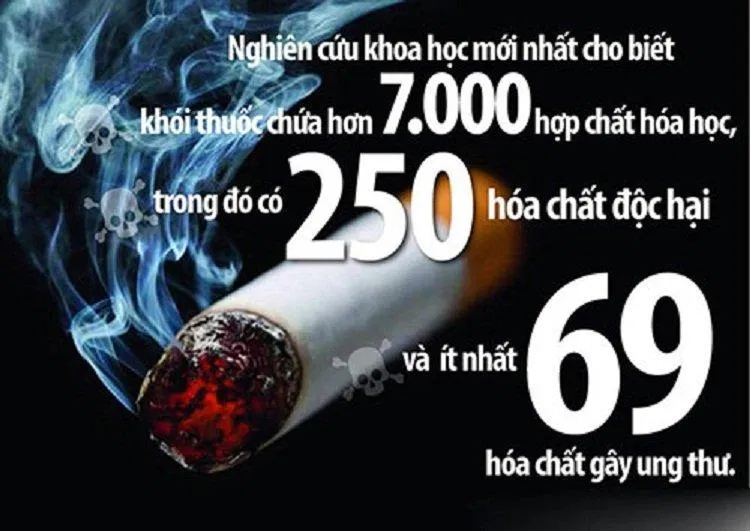 Thuốc lá là kẻ giết người thầm lặng mà chúng ta tuyệt đối không nên thử dù chỉ một lần (Ảnh: Internet). Thuốc lá là kẻ giết người thầm lặng mà chúng ta tuyệt đối không nên thử dù chỉ một lần (Ảnh: Internet).