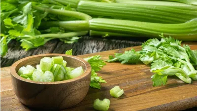 Cần tây là thực phẩm lành mạnh và không gây tăng cân. (Nguồn: Internet) Cần tây là thực phẩm lành mạnh và không gây tăng cân. (Nguồn: Internet)