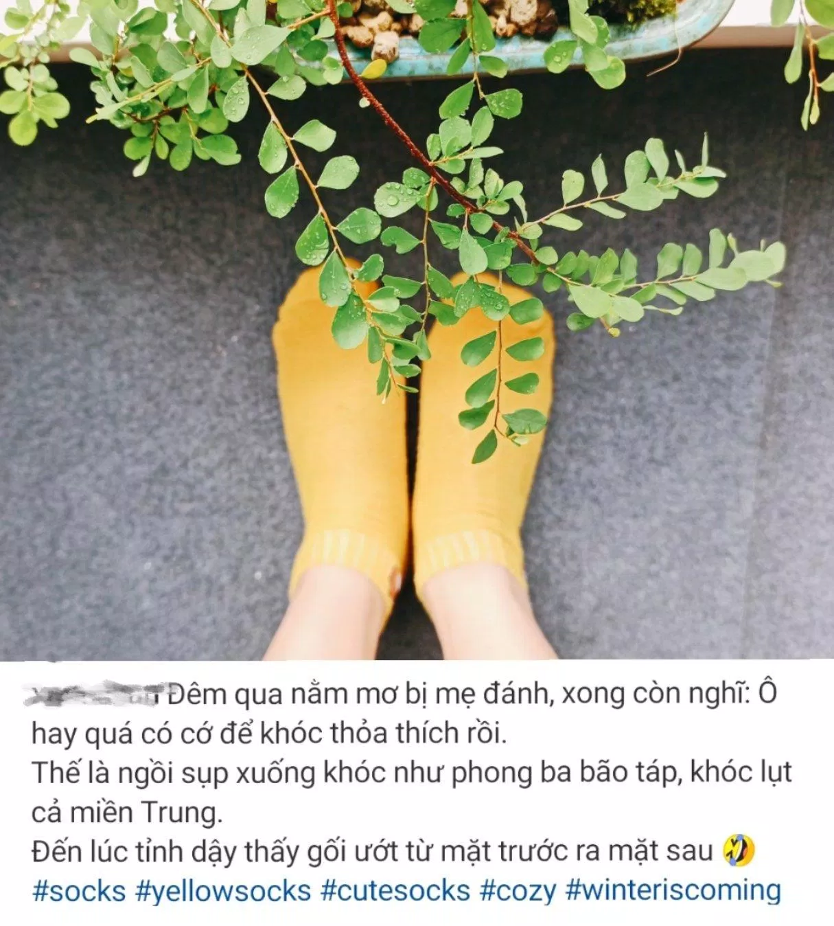 Tìm lý do để khóc trong mơ. (Ảnh: Internet)