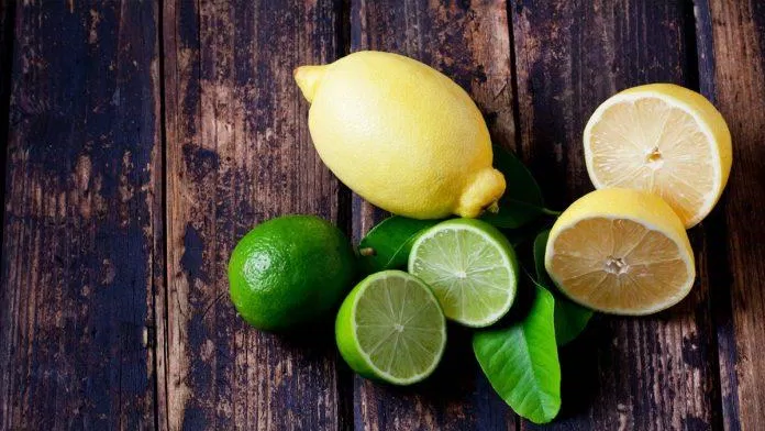 Chanh chứa nhiều vitamin C và chất chống oxy hóa làm mờ các vết thâm cho làn da sáng mịn và ngăn ngừa lão hóa hiệu quả. (Nguồn: Internet) Chanh chứa nhiều vitamin C và chất chống oxy hóa làm mờ các vết thâm cho làn da sáng mịn và ngăn ngừa lão hóa hiệu quả. (Nguồn: Internet)