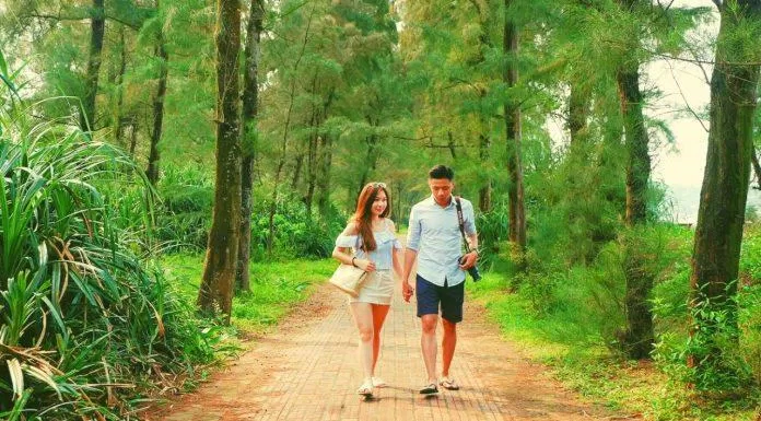 Cùng nắm tay người thương đi dạo, check in trên con đường lãng mạn này (nguồn: Internet)