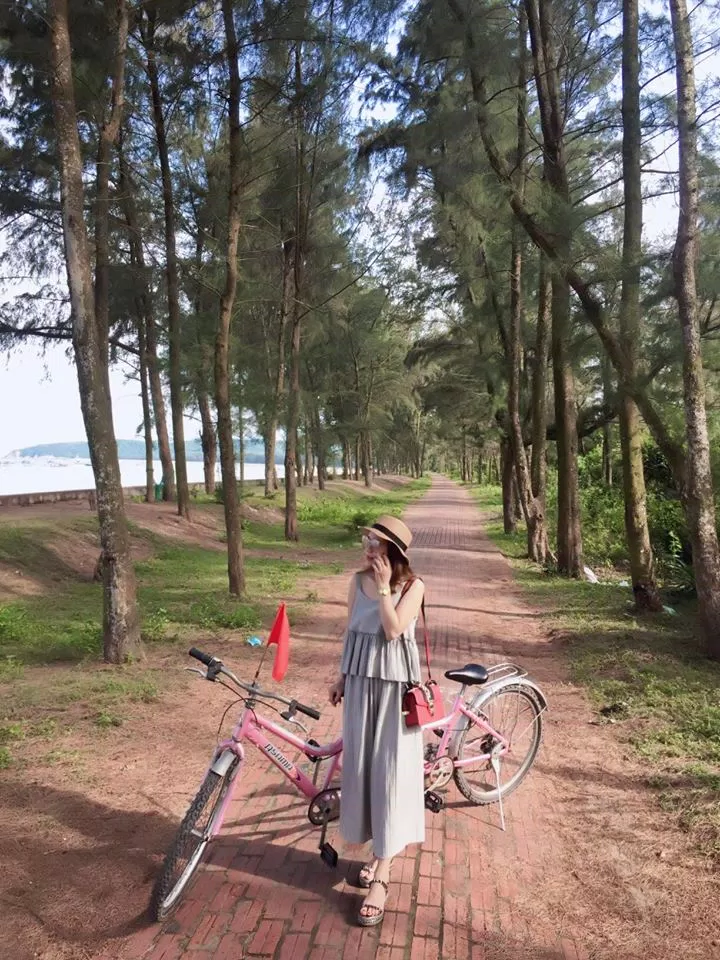 Vẻ đẹp lãng mạn của con đường tình yêu Cô Tô (nguồn: Internet)