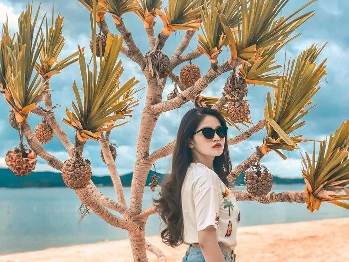 Check in sống ảo bên cây dứa rừng siêu quả (nguồn: Internet)