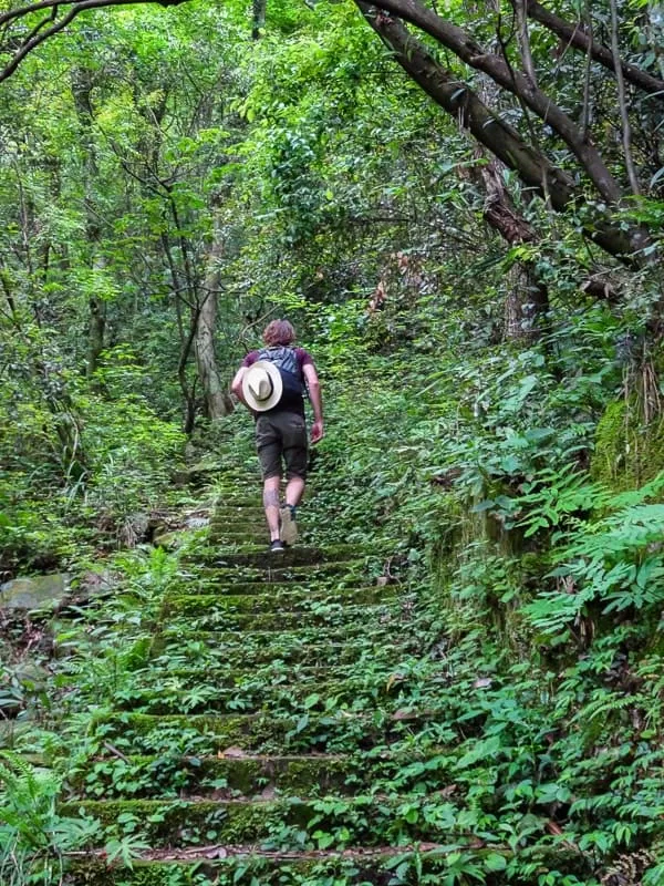 Đi bộ giúp bạn chọn được tuyến đường rộng rãi và tránh được đám đông hàng nghìn người (Ảnh: Internet). Đi bộ giúp bạn chọn được tuyến đường rộng rãi và tránh được đám đông hàng nghìn người (Ảnh: Internet).