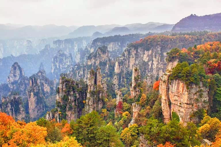 Sắc đỏ lá thu nhuộm màu cho những ngọn núi đá của Công viên Trương Gia Giới (Ảnh: Internet). Sắc đỏ lá thu nhuộm màu cho những ngọn núi đá của Công viên Trương Gia Giới (Ảnh: Internet).