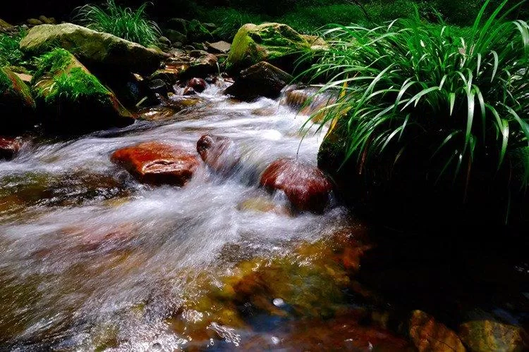 Khu vực Suối Roi Vàng có cảnh quan đẹp và thích hợp để đi dạo (Ảnh: Internet). Khu vực Suối Roi Vàng có cảnh quan đẹp và thích hợp để đi dạo (Ảnh: Internet).