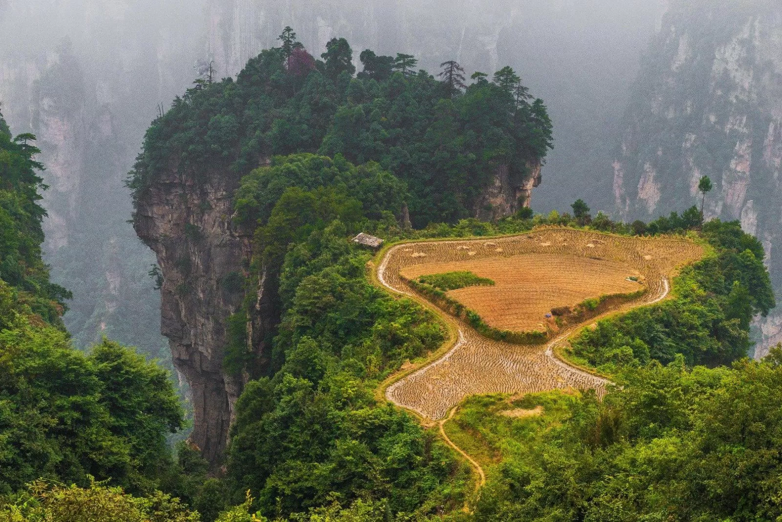 Laowu Chang có những cánh đồng "lơ lửng" trên cao (Ảnh: Internet). Laowu Chang có những cánh đồng "lơ lửng" trên cao (Ảnh: Internet).