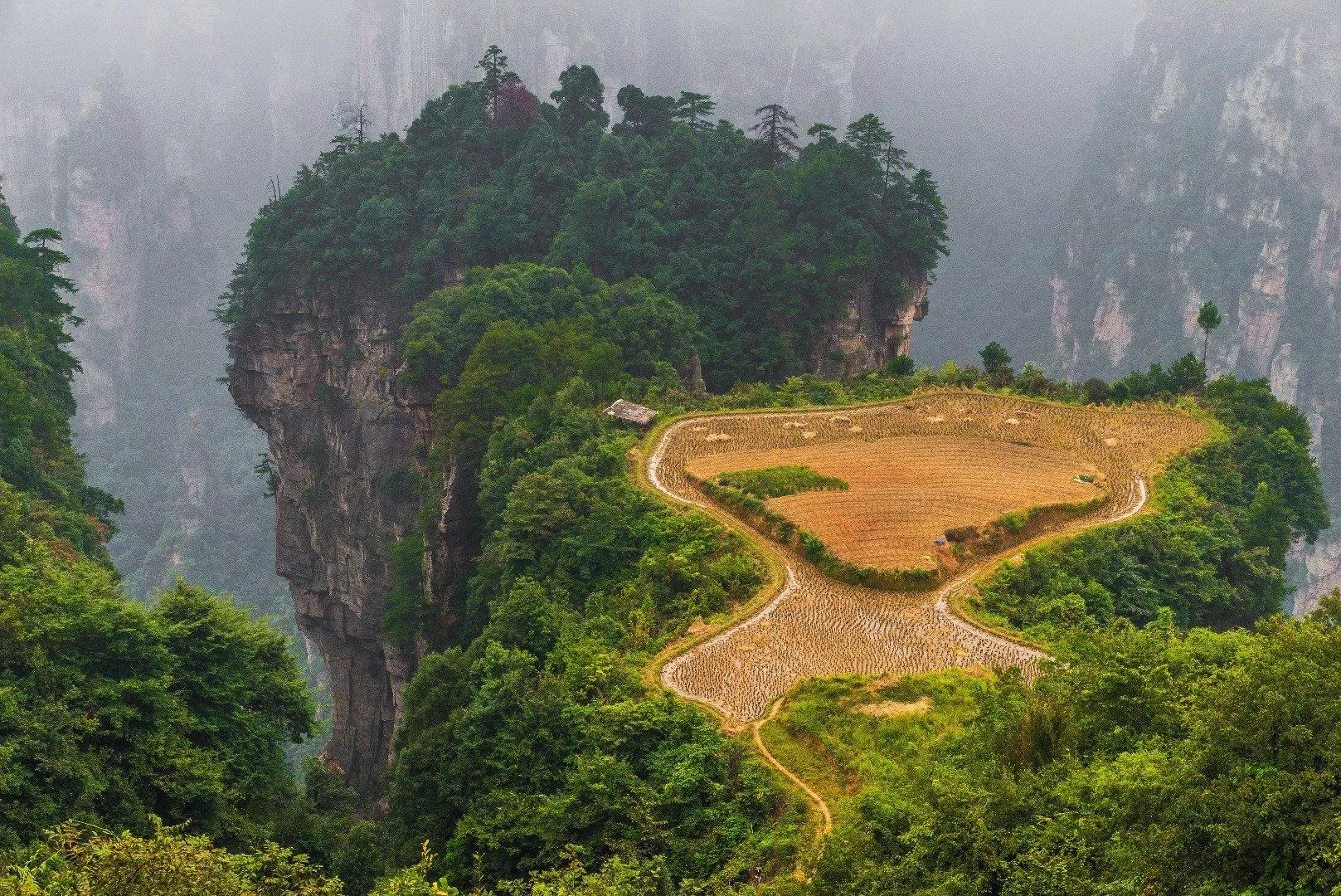 Laowu Chang có những cánh đồng "lơ lửng" trên cao (Ảnh: Internet).
