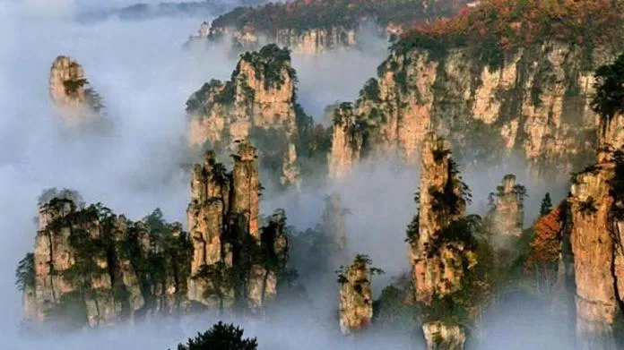 Công viên Rừng Quốc gia Trương Gia Giới – Không chỉ có ngọn núi Avatar  huyền thoại! - BlogAnChoi