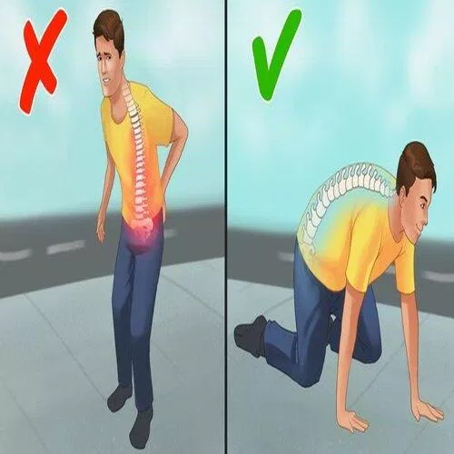 Bạn có biết rằng bò bằng bốn chân mới là cách đi đúng không? (Ảnh: Internet)