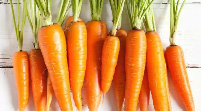 Ngoài cung cấp vitamin A, cà rốt nay có thêm tác dụng giảm cân (Nguồn: Internet).