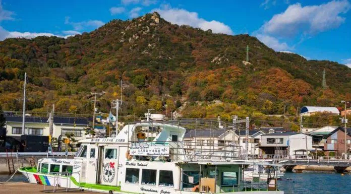 Đi phà là cách duy nhất để tới được Đảo Thỏ Okunoshima (Ảnh: Internet) dao-tho-8