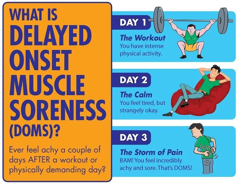 DOMS có thể xuất hiện muôn vào ngày thứ 2 sau khi tập (Ảnh: Internet). DOMS có thể xuất hiện muộn vào ngày thứ 2 sau khi tập (Ảnh: Internet).