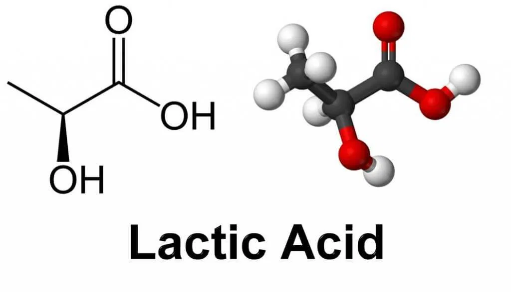 Axit lactic từng được cho là thủ phạm số một gây đau cơ (Ảnh: Internet). Axit lactic từng được cho là thủ phạm số một gây đau cơ (Ảnh: Internet).