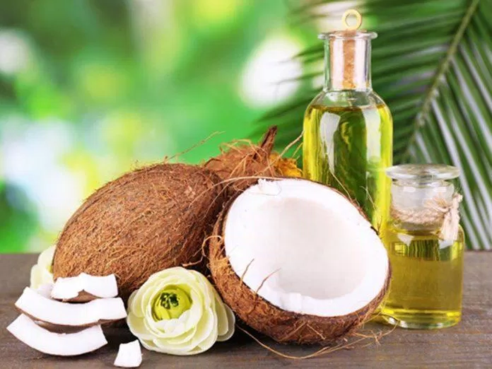 Dầu dừa giúp cung cấp axit lauric giúp giảm rụng tóc (Ảnh: Internet)
