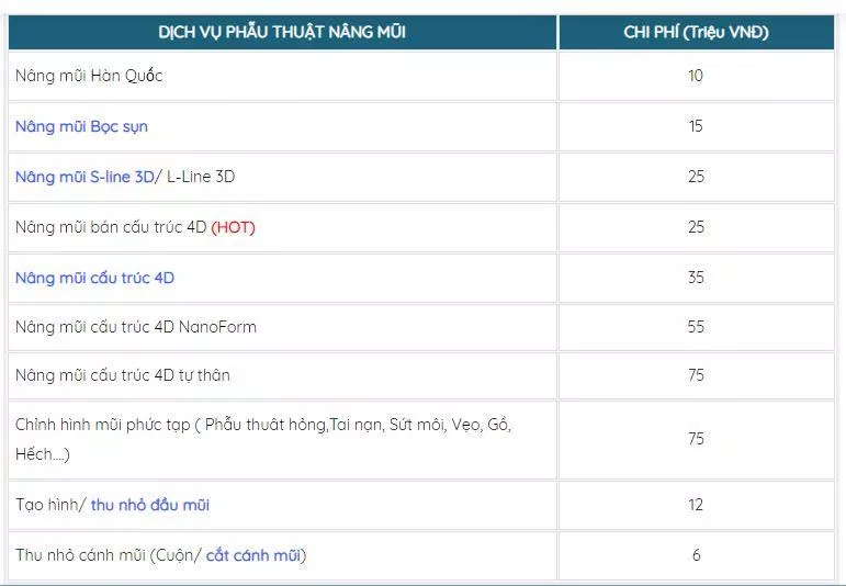 Bảng giá dịch vụ nâng mũi tại Kangnam ( nguồn: internet)