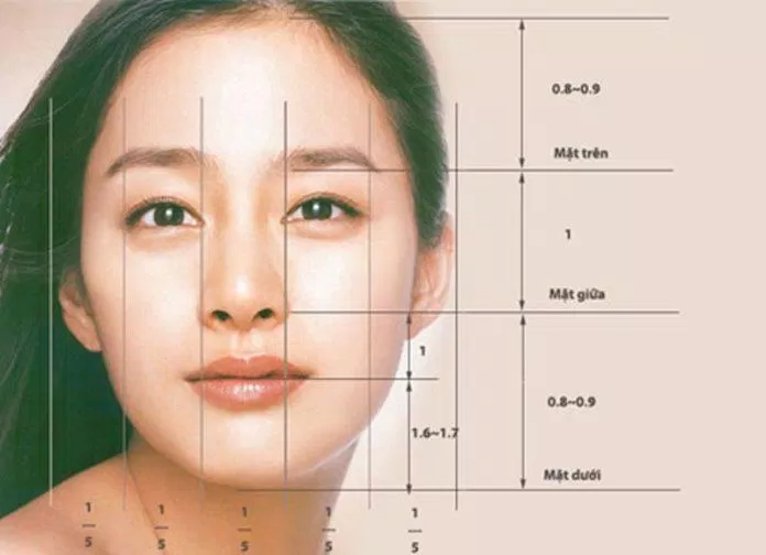 Mỗi mắt có chiều dài bằng 1/5 chiều ngang khuôn mặt là tỷ lệ cân đối (Ảnh: Internet).