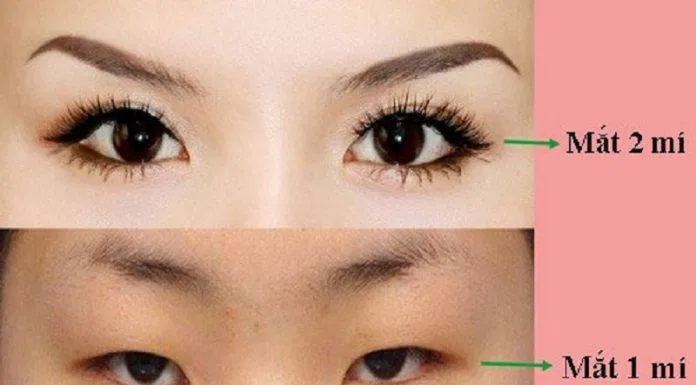 Một số tộc người có đặc điểm mắt một mí chiếm đa số so với mắt hai mí (Ảnh: Internet). Một số tộc người có đặc điểm mắt một mí chiếm đa số so với mắt hai mí (Ảnh: Internet).