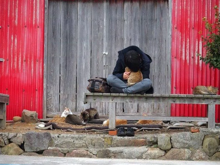 Còn gì sung sướng hơn cảm giác ôm một "cục bông" trong lòng và cảm nhận tiếng rên khe khẽ đáng yêu của chúng! (Ảnh: Internet). Còn gì sung sướng hơn cảm giác ôm một "cục bông" trong lòng và cảm nhận tiếng rên khe khẽ đáng yêu của chúng! (Ảnh: Internet).