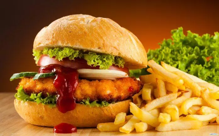 Đồ ăn nhanh chứa nhiều chất béo, dầu mỡ và nhiều muối, đường, chất phụ gia,... gây ảnh hưởng xấu tới tim mạch. (Nguồn: Internet) Đồ ăn nhanh chứa nhiều chất béo, dầu mỡ và nhiều muối, đường, chất phụ gia,... gây ảnh hưởng xấu tới tim mạch. (Nguồn: Internet)