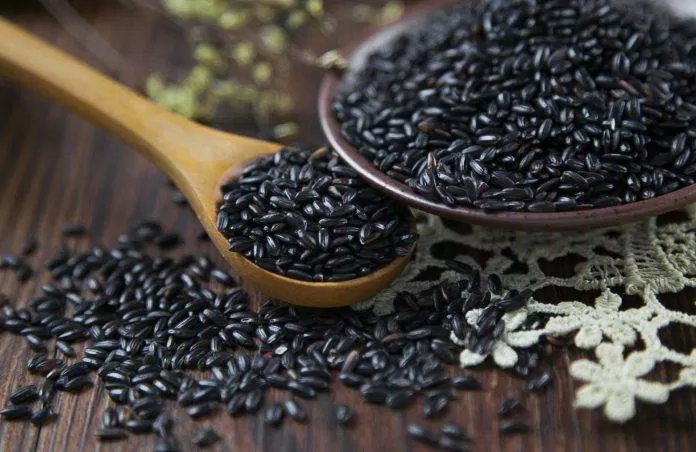 Gạo đen chứa nhiều protein và chất chống oxy hóa. (Nguồn: Internet)