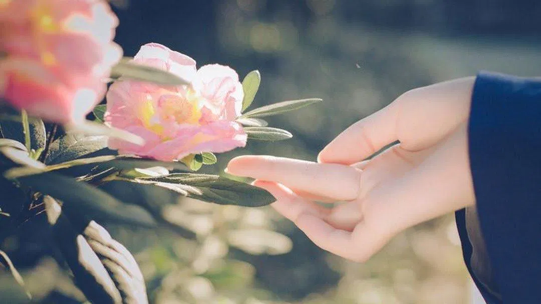 "Độ chín" trong suy nghĩ khiến ta cảm nhận được cuộc sống sâu sắc hơn ( ảnh Internet) "Độ chín" trong suy nghĩ khiến ta cảm nhận được cuộc sống sâu sắc hơn ( ảnh Internet)