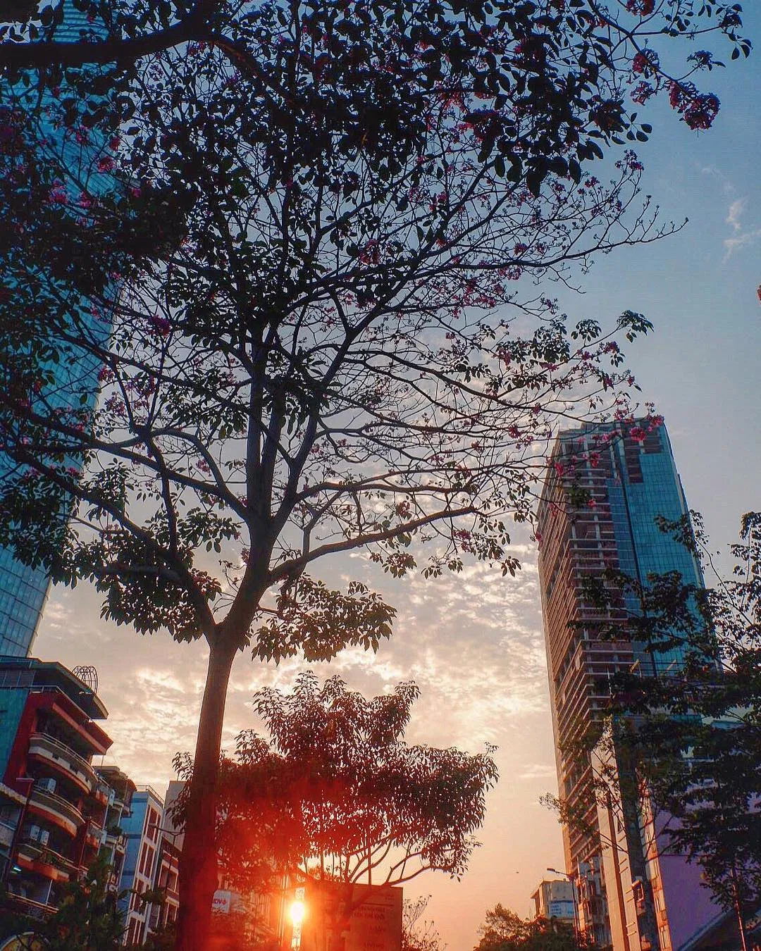 Sài Gòn không chỉ là vùng đất chứa đựng cơ hội và hoài bão cho những người trẻ mà Sài Gòn còn chứa kĩ niệm và thanh xuân của bao thế hệ Ảnh