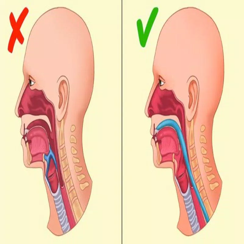 Hoặc là ăn, hoặc là nói! (Ảnh: Internet)