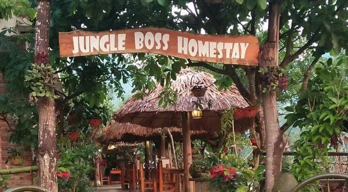 Jungle Boss Homestay (Nguồn: Internet)