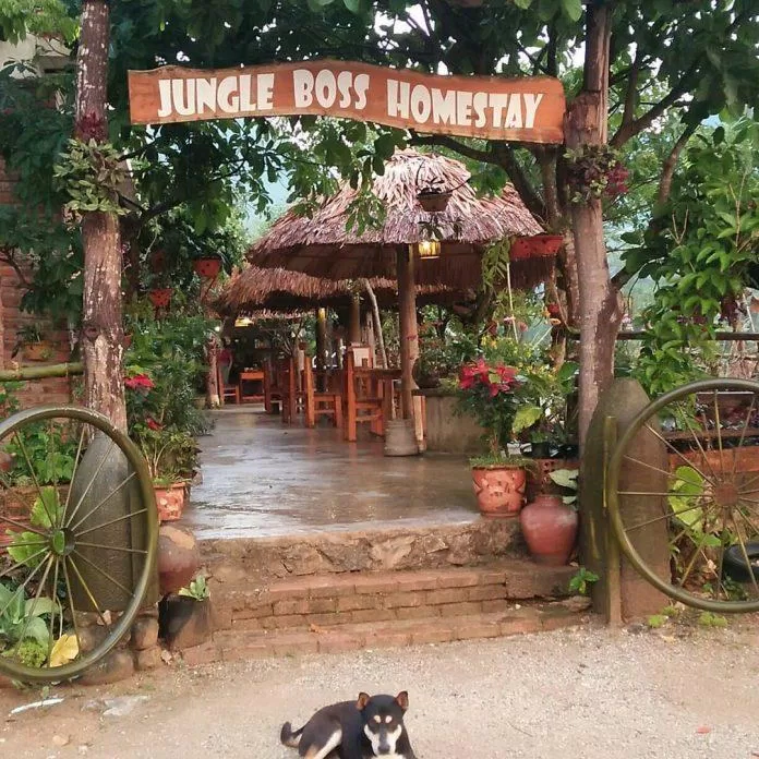 Jungle Boss Homestay (Nguồn: Internet)