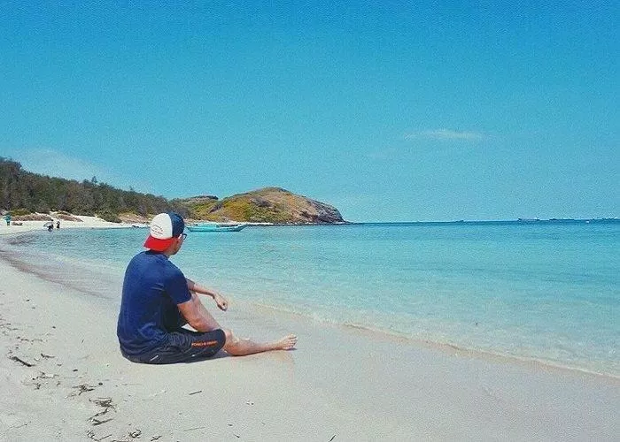 Hòn Tranh