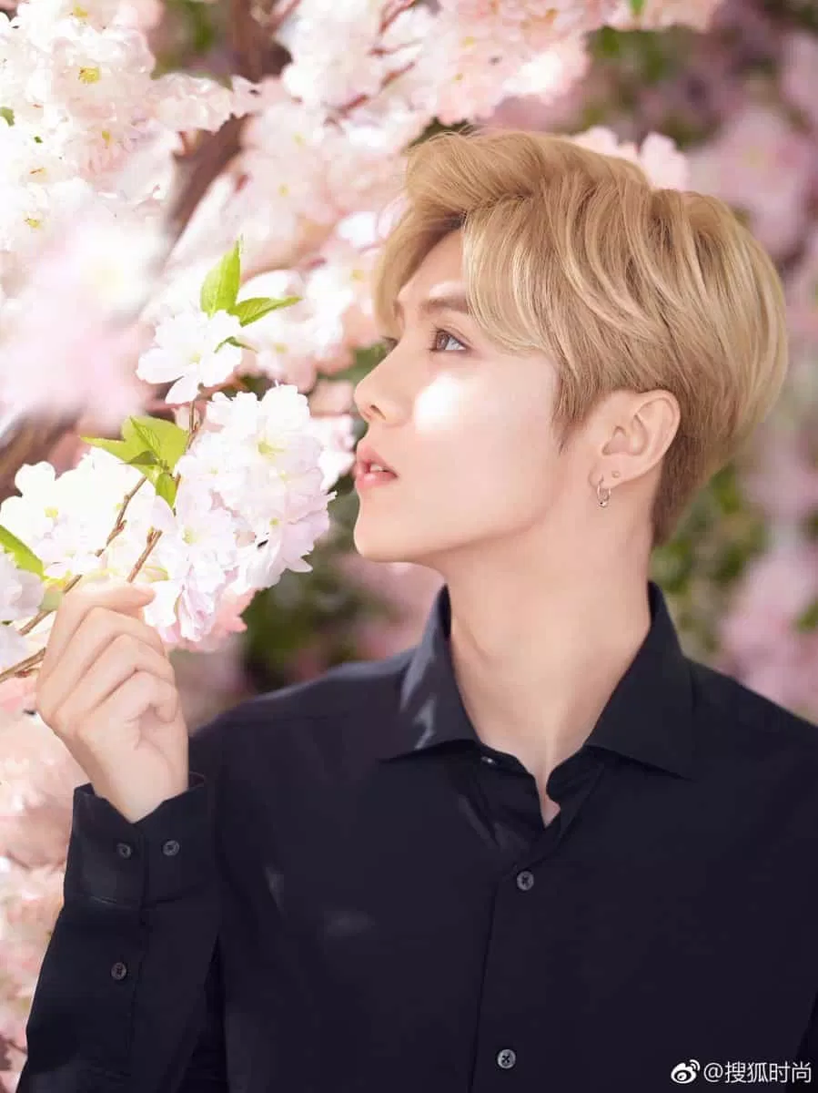 Lộc Hàm đẹp hợn hoa ( ảnh: Internet)