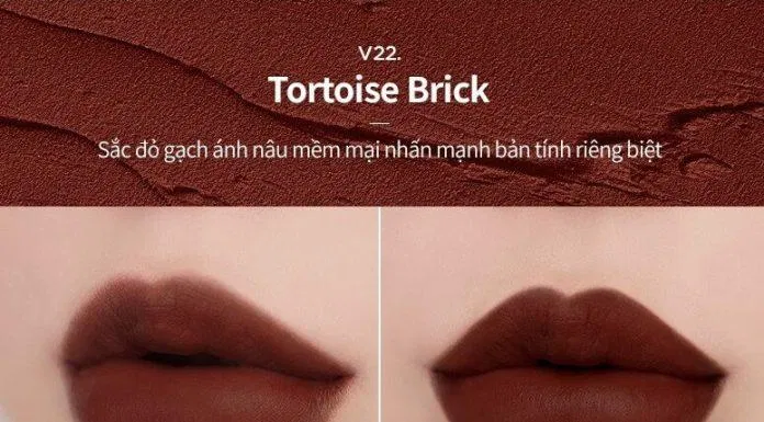 Màu V22 - Tortoise Brick (Nguồn: Internet)