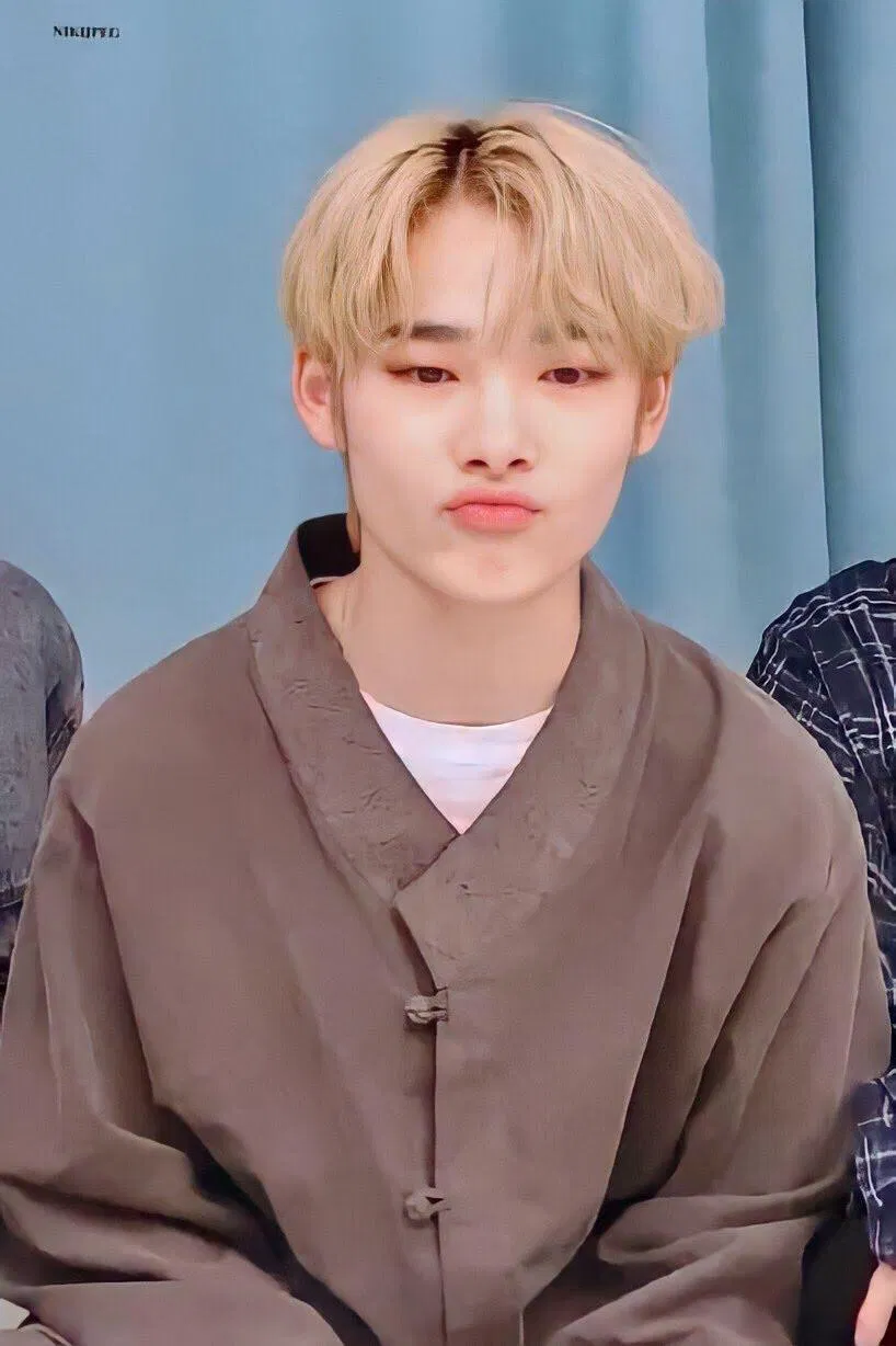 Ni-Ki từng là vũ công phụ họa trước khi debut (Ảnh: Internet)