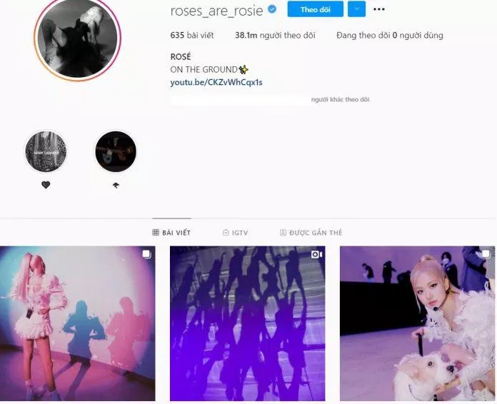 Số người theo dõi hiện tại của Rosé là 37,86 triệu người (Nguồn: Instagram)