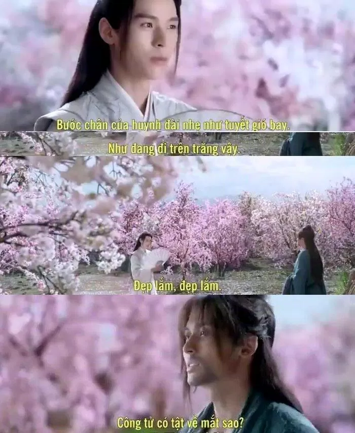 Chu Tử Thư được khen mà cảm thấy chóng cả mặt. (Ảnh: BlogAnChoi)