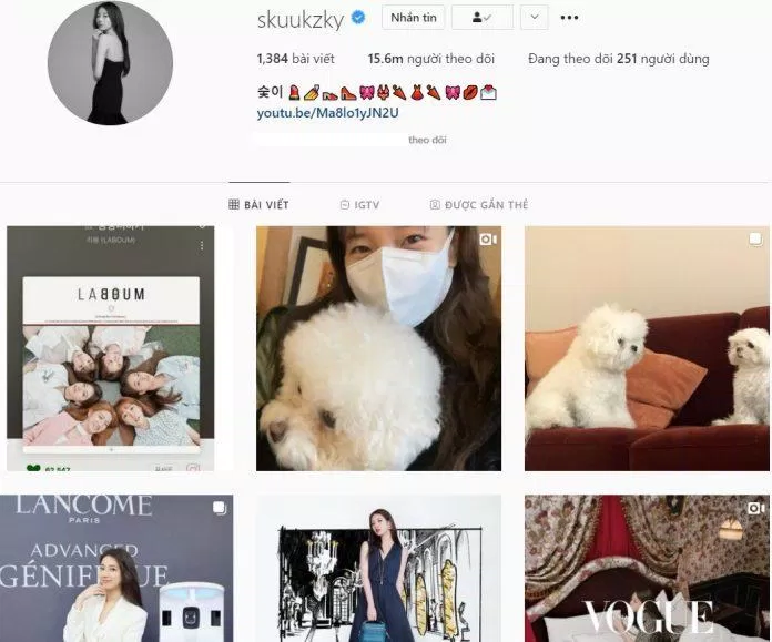 Số người theo dõi hiện tại của Hyuna là 15,62 triệu người (Nguồn: Instagram)