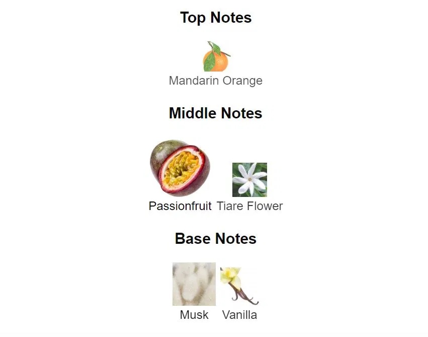 Tầng hương của nước hoa nữ Zara Black Amber. (ảnh: internet)