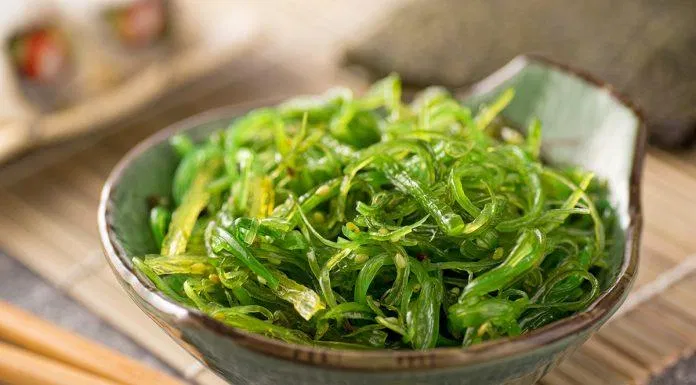 Tảo xoắn là loại thực vật sống trong nước biển có hàm lượng dinh dưỡng cực cao (Ảnh: Internet). Tảo xoắn là loại thực vật sống trong nước biển có hàm lượng dinh dưỡng cực cao (Ảnh: Internet).