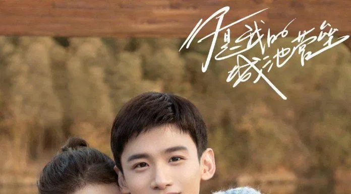 Poster phim Em Là Thành Trì Doanh Lũy Của Anh (Ảnh: Internet)