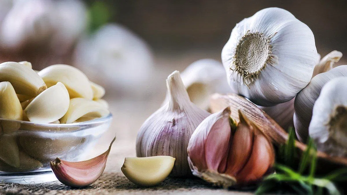 Thường xuyên bổ sung tỏi trong thực đơn hàng ngày sẽ giúp cơ thể bạn khỏe mạnh hơn. (Nguồn: Internet) Thường xuyên bổ sung tỏi trong thực đơn hàng ngày sẽ giúp cơ thể bạn khỏe mạnh hơn. (Nguồn: Internet)