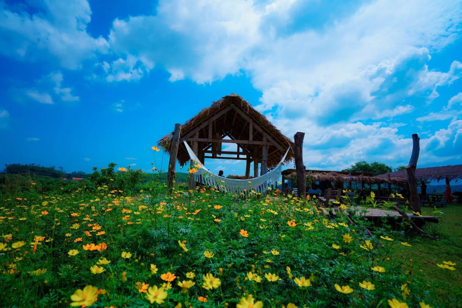 Cảnh đẹp và gió mát (Nguồn: Internet)