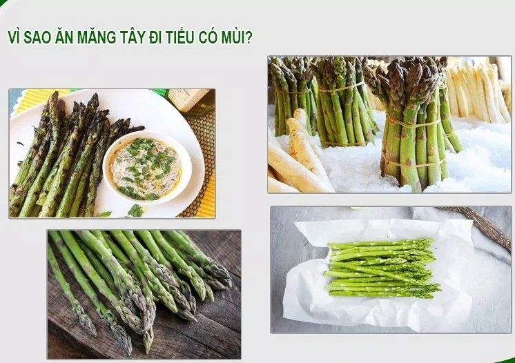 Hợp chất sulfuric trong măng tây là thủ phạm gây ra mùi khó chịu (Ảnh: Internet). Hợp chất sulfuric trong măng tây là thủ phạm gây ra mùi khó chịu (Ảnh: Internet).